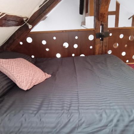 Auxerre - Abbaye Saint Germain Apartment Bagian luar foto