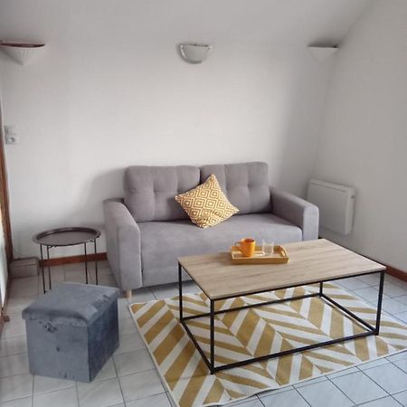Auxerre - Abbaye Saint Germain Apartment Bagian luar foto